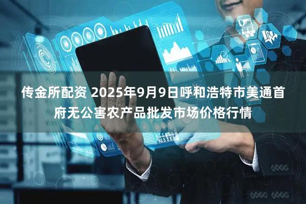 传金所配资 2025年9月9日呼和浩特市美通首府无公害农产品批发市场价格行情