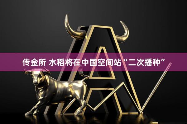 传金所 水稻将在中国空间站“二次播种”